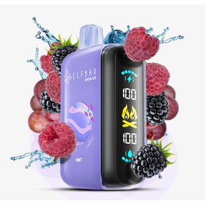 ELFBAR RAYA D3 - VMT