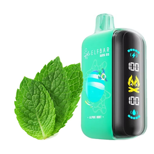 ELFBAR RAYA D3 - Alphine mint