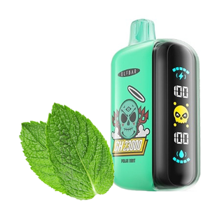 ELFBAR RAYA D3 - Polar Mint