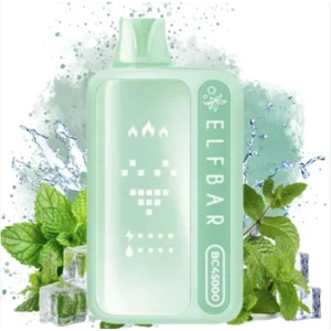 ELFBAR BC 45000 - Double Mint